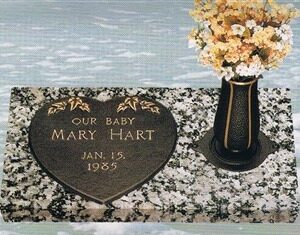 Infant Heart Design